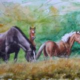 Equine family, 80cm x 60cm, 2014