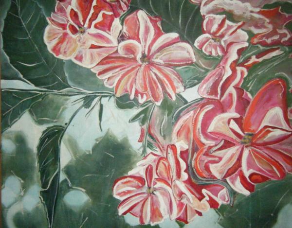 Red Flowers.....Red Flowers