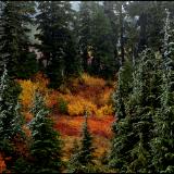 First Snow Fall on Mount Rainier