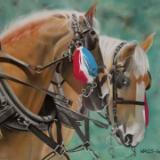 Horse Power (pastel)