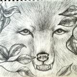 Cry Wolf Cry Wolf