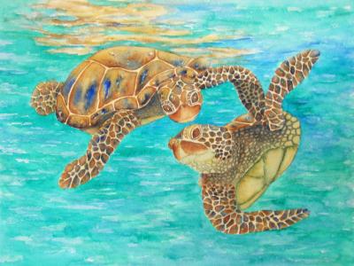 Dos Tortugas Dos Tortugas