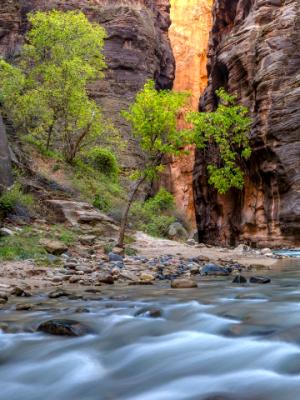 Orange Wall, Green Trees, Blue River Orange Wall, Green Trees, Blue River