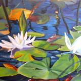 Lily Dance