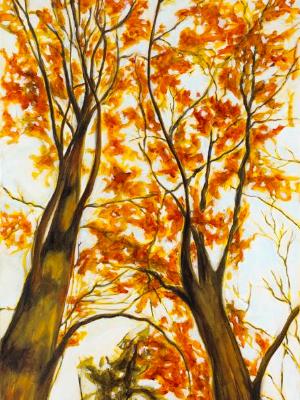 Woodland Park Canopy III  (Sold)