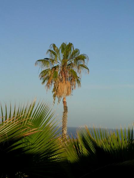 Todos Santos morning