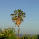 Todos Santos morning