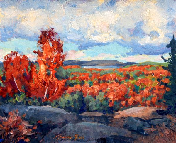 Autumn’s Wide Embrace