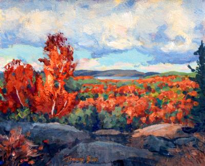 Autumn’s Wide Embrace