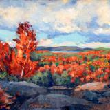 Autumn’s Wide Embrace