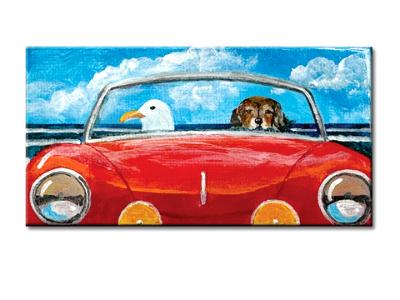 MR. DARCY AND HIS GULLFRIEND GO TO THE BEACH MR. DARCY AND HIS GULLFRIEND GO TO THE BEACH