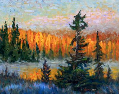 Morning Glow in Algonquin Park, Ontario