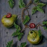 FRUIT
