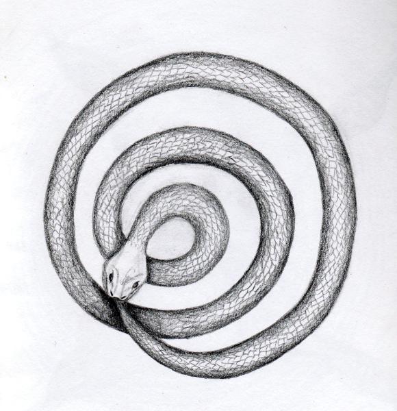 Serpent Spiral