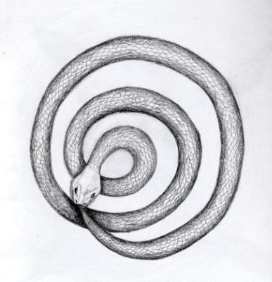 Serpent Spiral Serpent Spiral