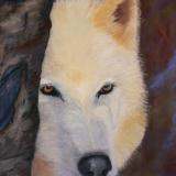 Shy Wolf - SOLD