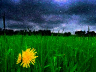 The Future Matters Not to a Flower The Future Matters Not to a Flower