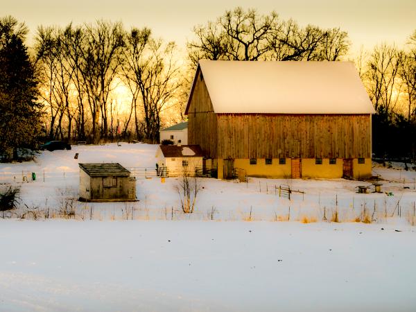 Minnesota Winter