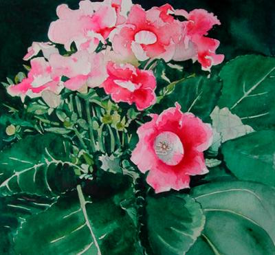 gloxinia gloxinia