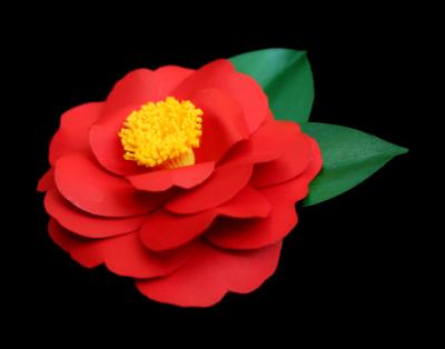 Red Camellia Japonica Pin Red Camellia Japonica Pin