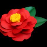 Red Camellia Japonica Pin