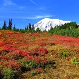 Mount Rainier National Park