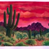 Arizona Desert Sunset #3