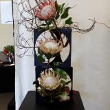 3rd Prize "Bright Outlook"  King Proteas