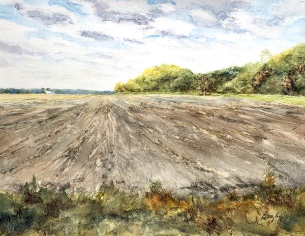 Planting, Augusta MO 4.23.23