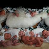 Coming up Daisies~ Doll Fair 2014