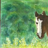 Jacqueline Ross Arriaga da Cunha  Paintings  