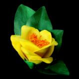 Golden Camellia Chrysantha Flower Pin 