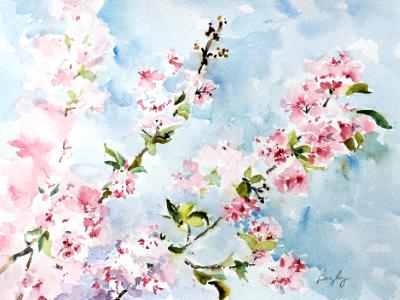 Cherry Tree 4.22.19