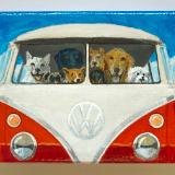EIGHT DOGS TAKE THE BUS TO THE BEACH