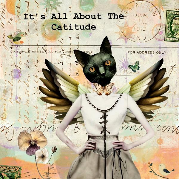 Catitude