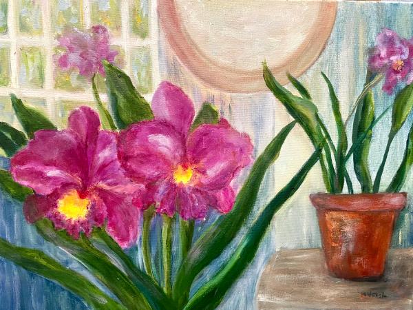 Orchids