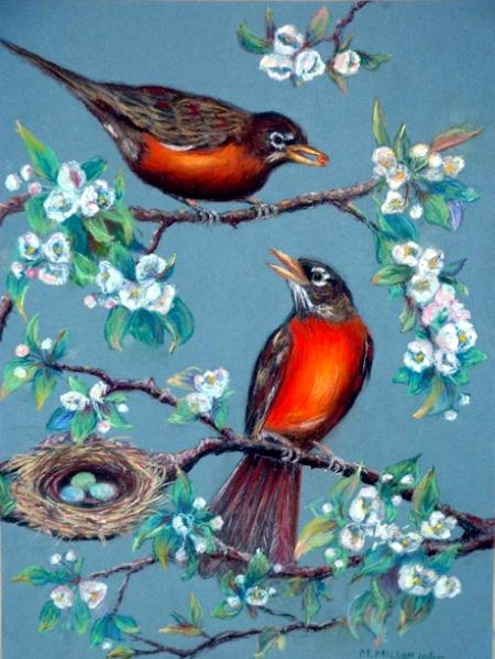 Robins in Spring