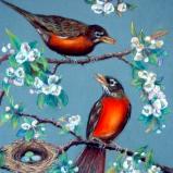 Robins in Spring