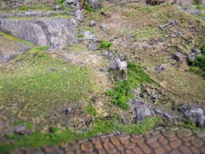 Scree Slope Scree Slope