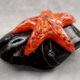 #08042512 Starfish on Rock 4''HX4.5''WX7.75''L $150.00