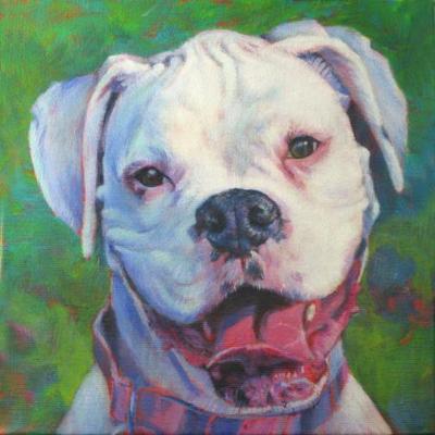 Bette Davis: White Boxer Bette Davis: White Boxer