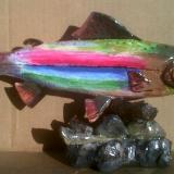Rainbow Trout
