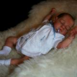 Reborn Preemie Baby ~ Harry ~ ADOPTED/SOLD