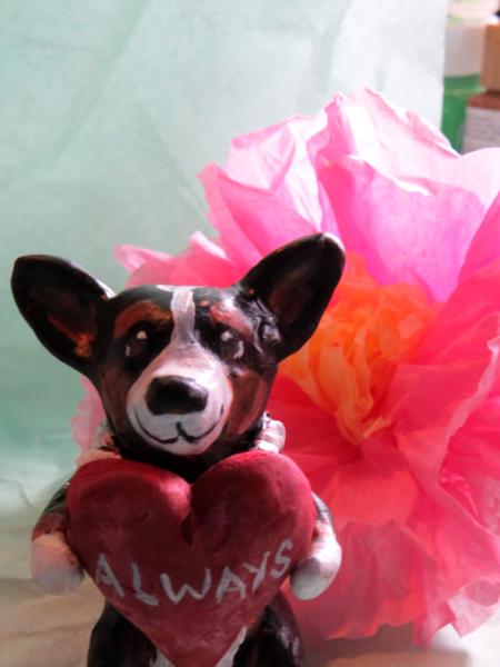 Forget me not the BHT teacup corgi