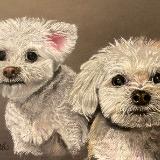 Mickey's Fur Babies