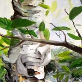 Unfurled