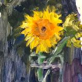 Sunflower demonstration 12” x 16” oil