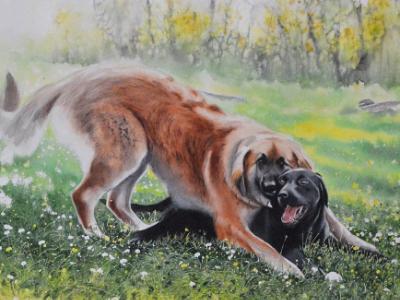 Canine brotherhood, 38cm x 56cm, 2021 Canine brotherhood, 38cm x 56cm, 2021
