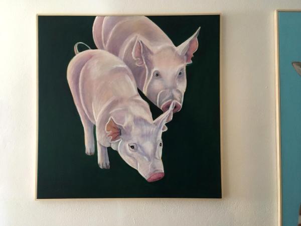 Two pigs