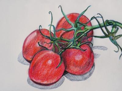 Tomatoes